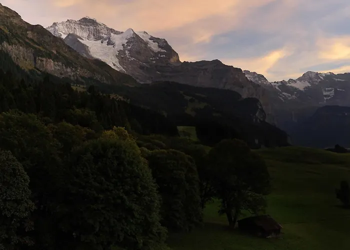 Beausite Park & Hotel